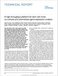 high throughput platform for stem cell niche