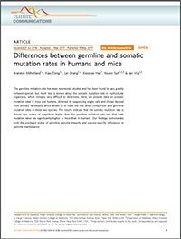 differences between germline and somatic mutation rates
