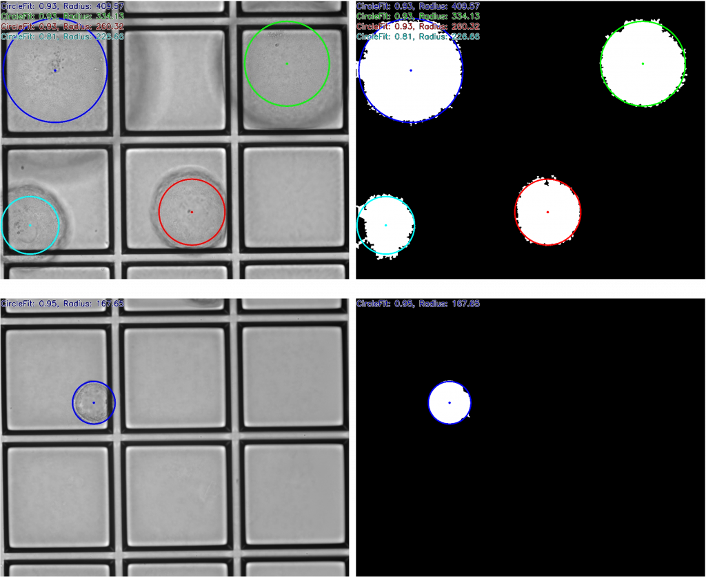 Identify Phenotypic