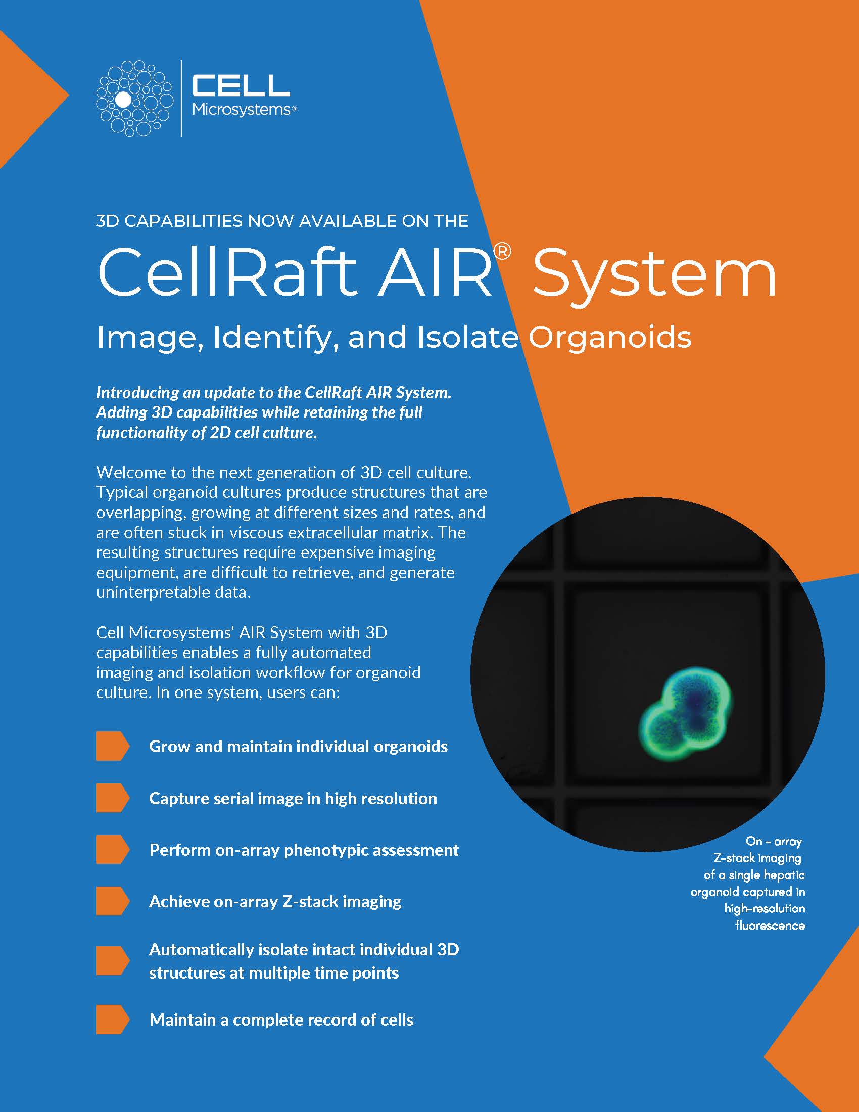 Pages from AIR System with 3D Capabilities 2