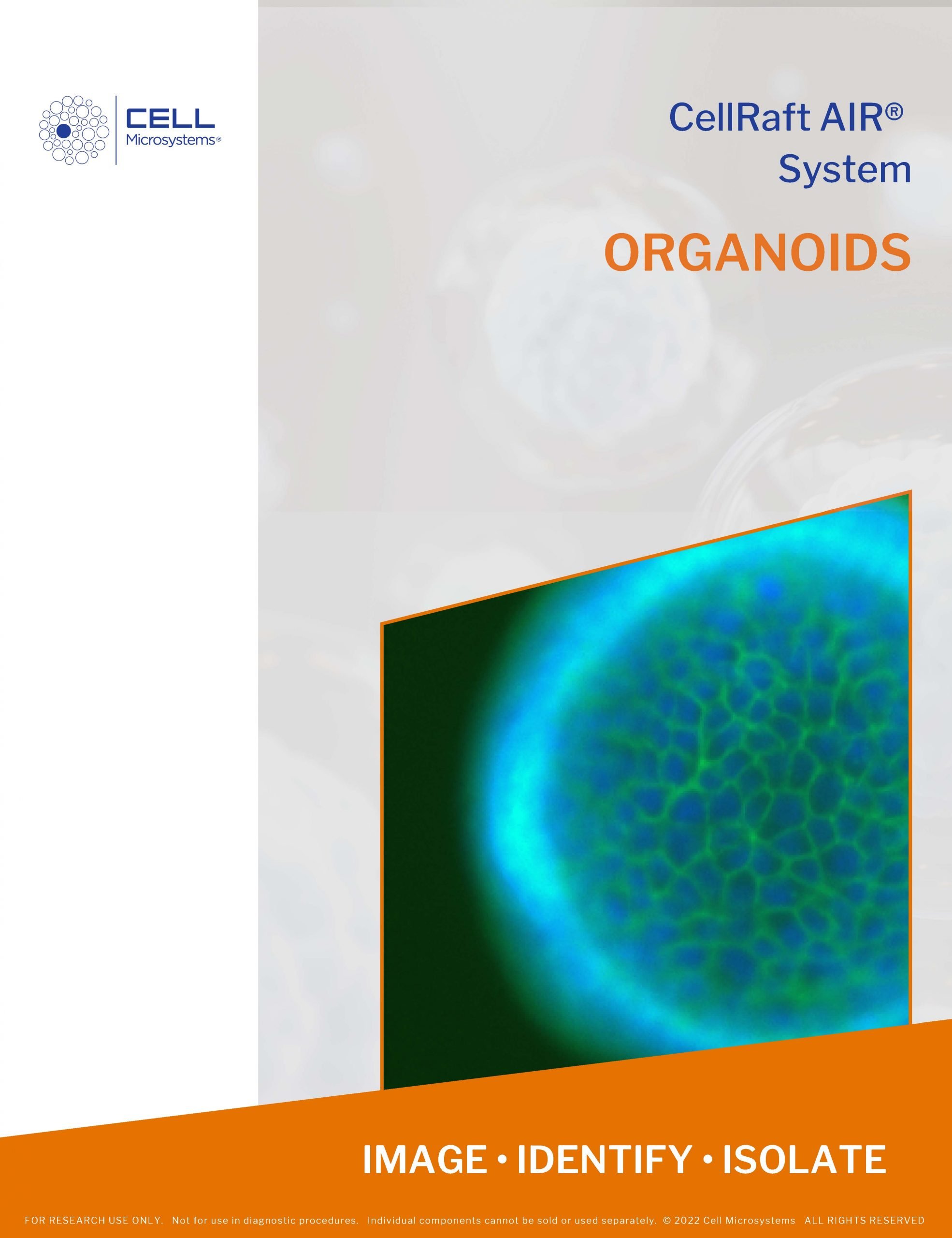 Pages from Application Brochure ORGANOIDS 6 scaled