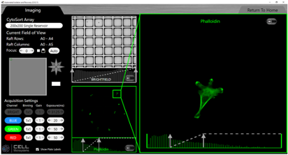 P3.1 Image