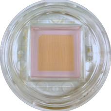 Blog cell image