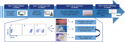 Blog2 Clone Flow