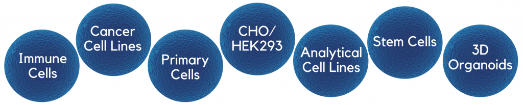 Expanded Cell Header