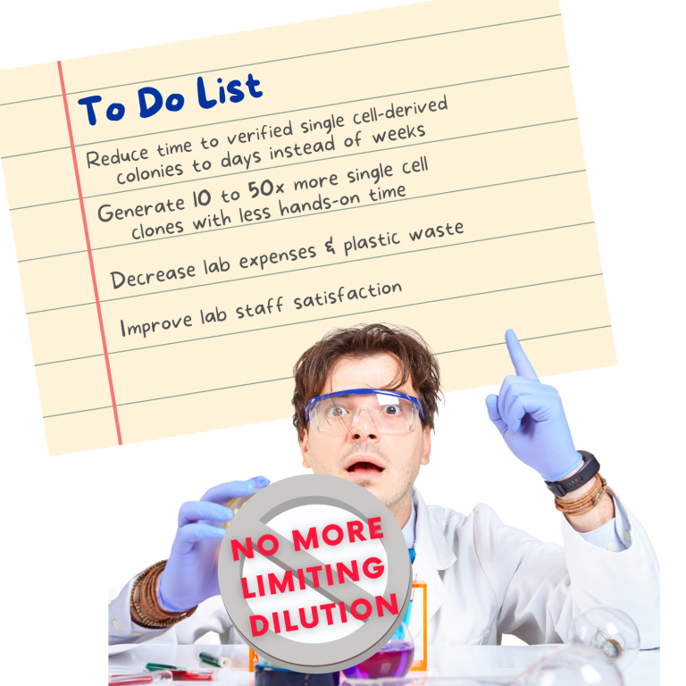 No LD Email Art