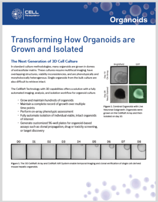 Organoid Flyer image 1