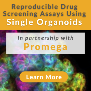 Promega promo 1