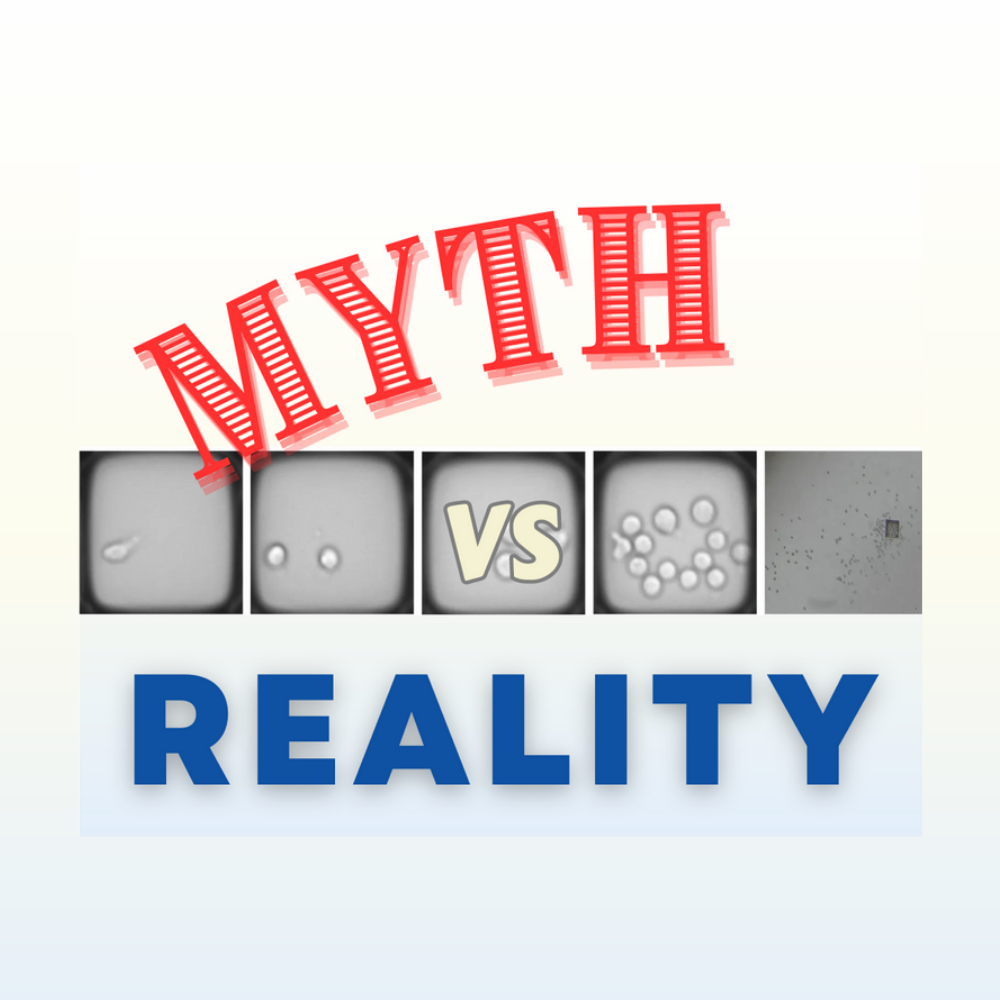 Myth v Reality blog 1