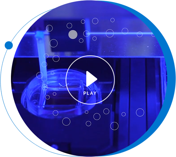 video2 1