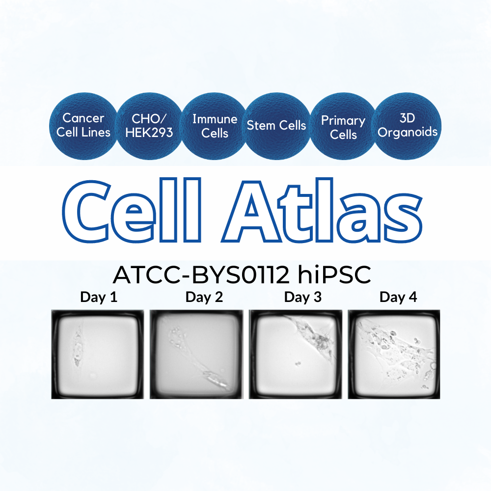 Cell Atlas image 1