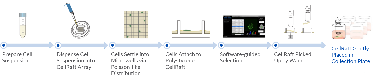 CellRaft AIR System Do