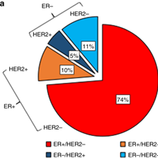 blog Distribution of breast cancer subtypes ER HER2