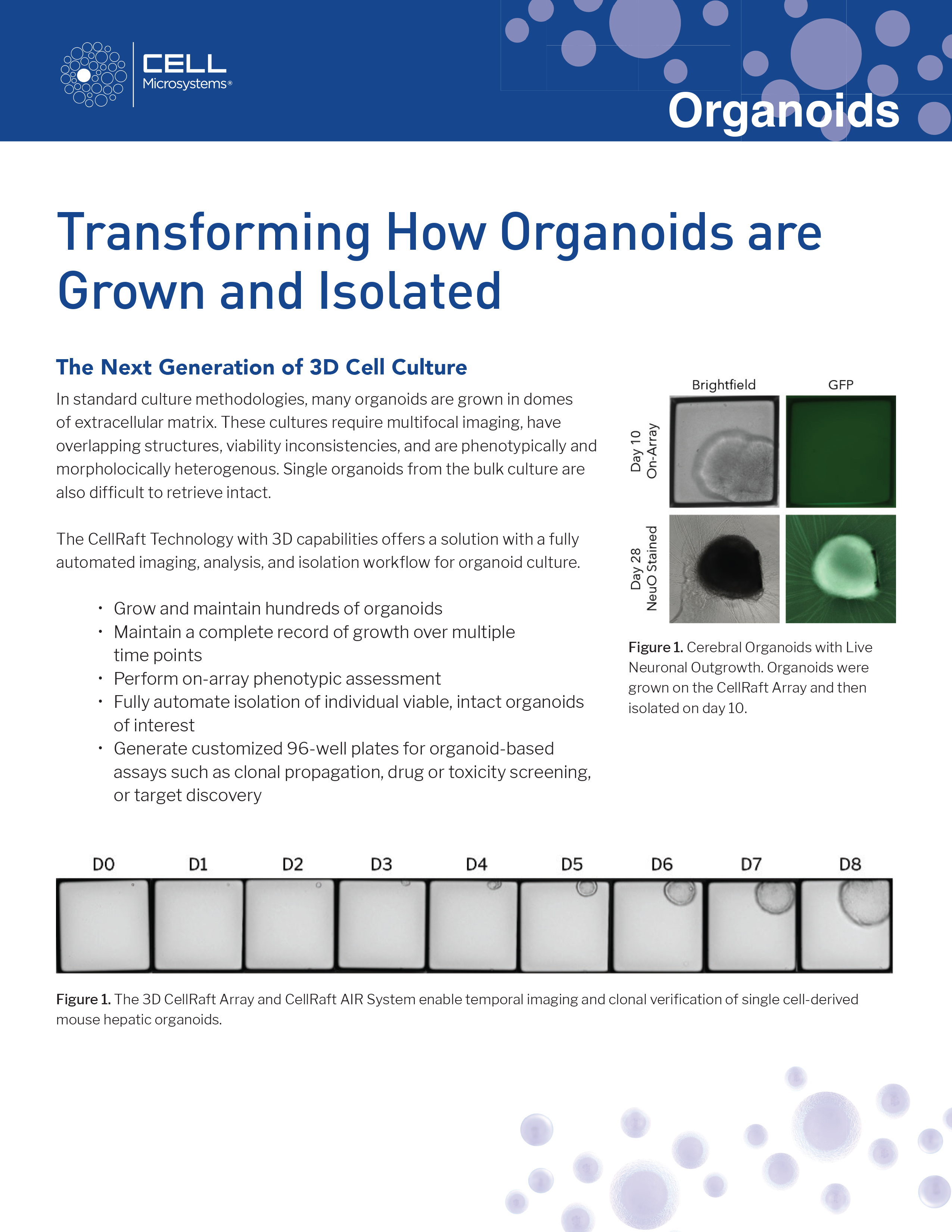 cover organoid