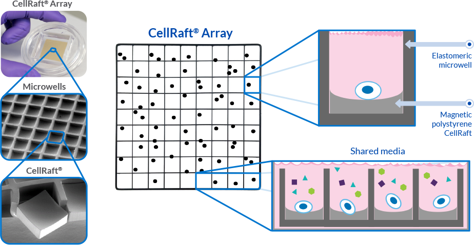 what is CellRaft Array