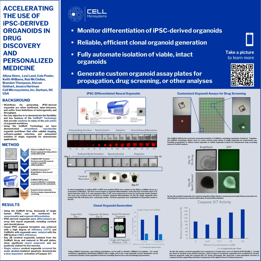 Keystone Organoids