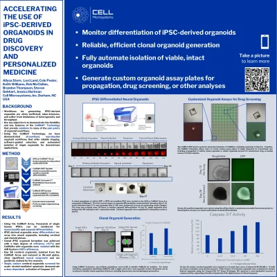Keystone Organoids