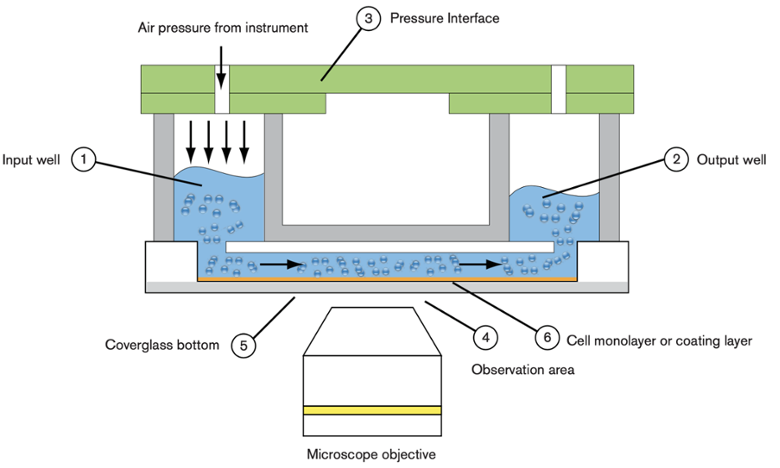 BioFlux Plate Design 1