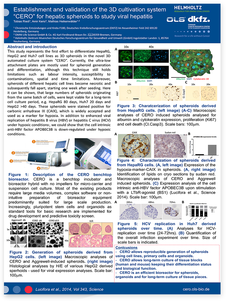 cero poster