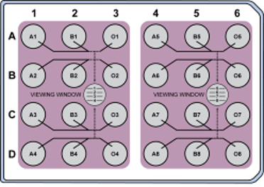 24wellformat