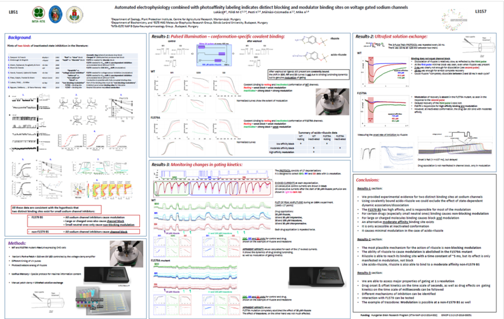 Automated electrophysiology combined with photoaffinity labeling indicates distinct blocking and modulator binding sites on voltages gated sodium channels