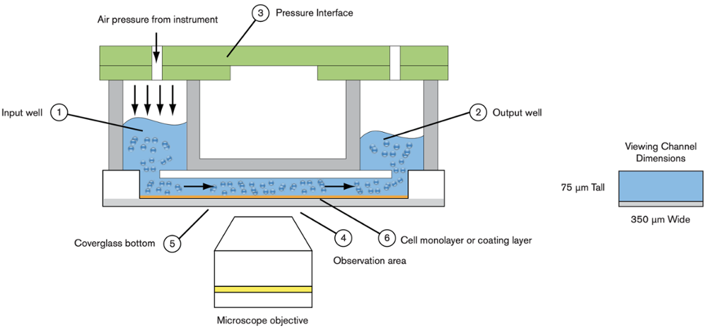 BioFlux Plate Design