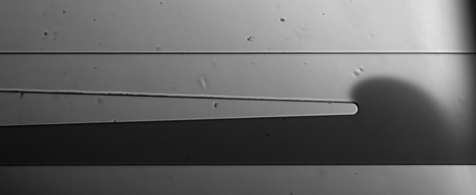 BioFlux System Compounds Mixing in a 24 Well Plate 1