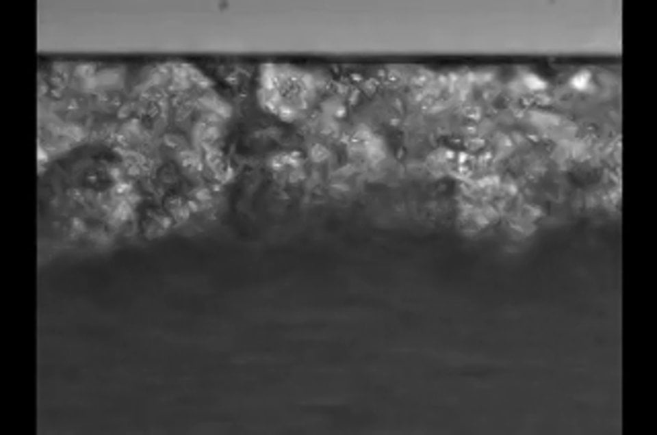 BioFlux System Dual Flow Platelet Aggregation 1