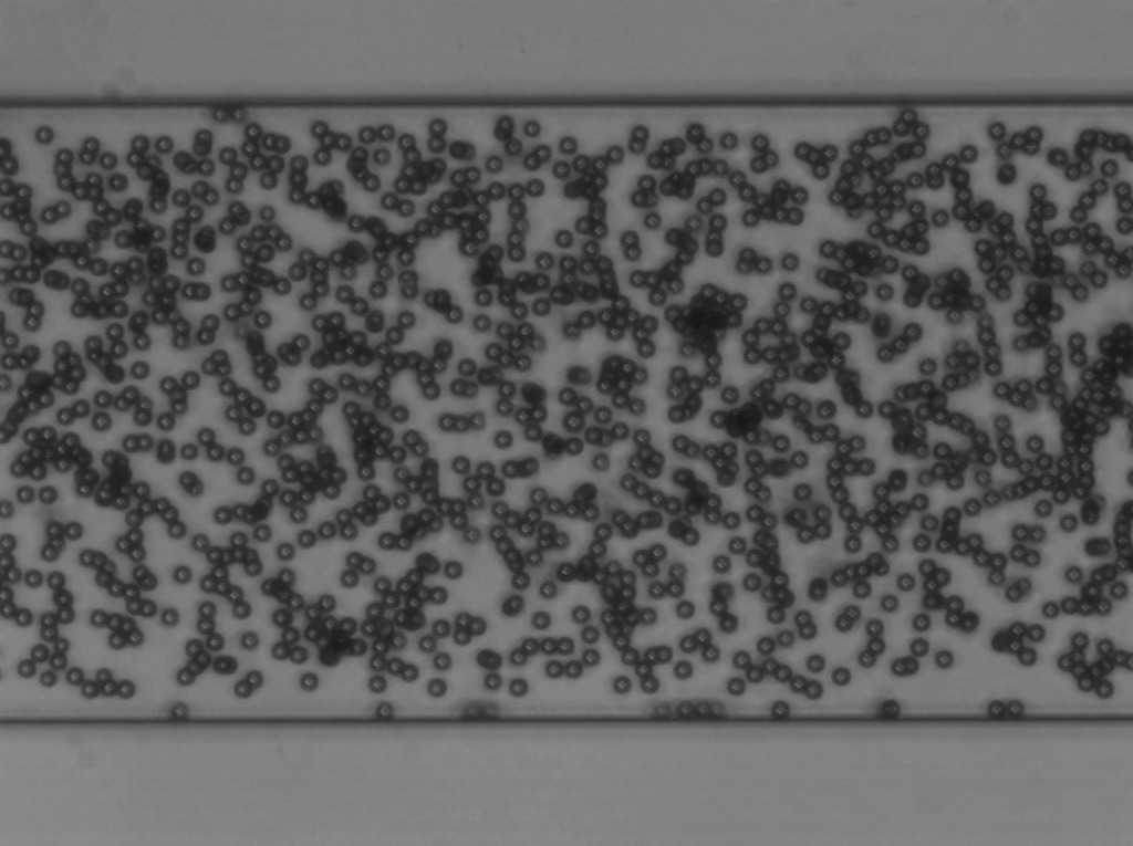 BioFlux System Pulsatile Flow 1