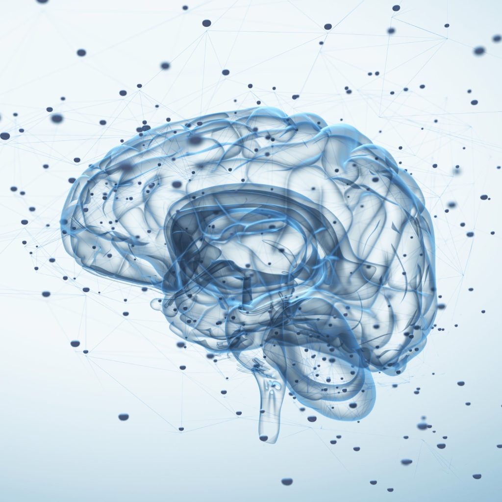 Brain Lighter cropped