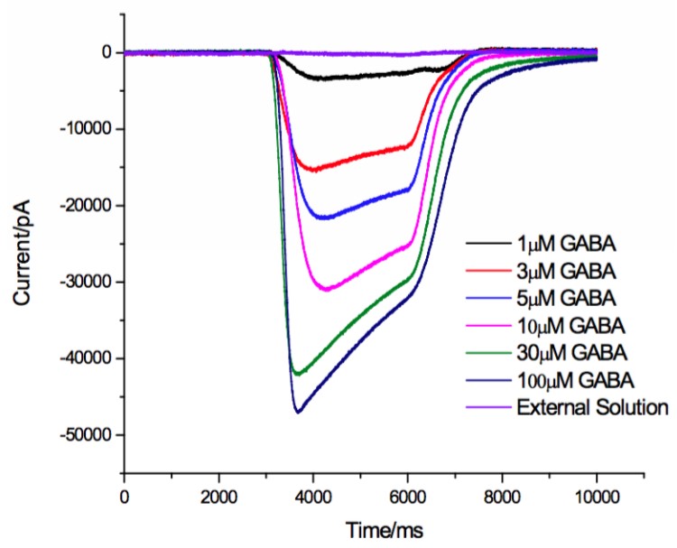GABA current