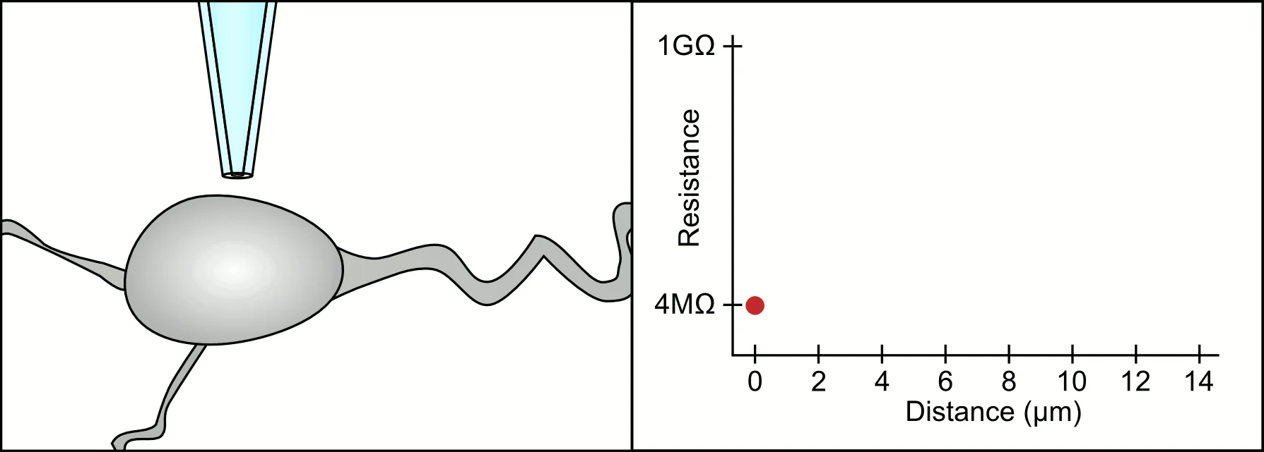 Patch Clamp Resistance Animation