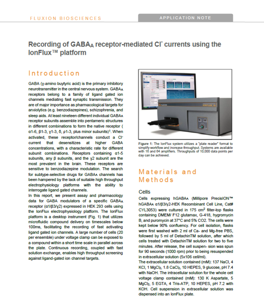 Recording of GABAA receptor mediated Cl currents