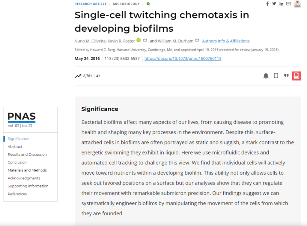 Single cell twitching chemotaxis in developing biofilms