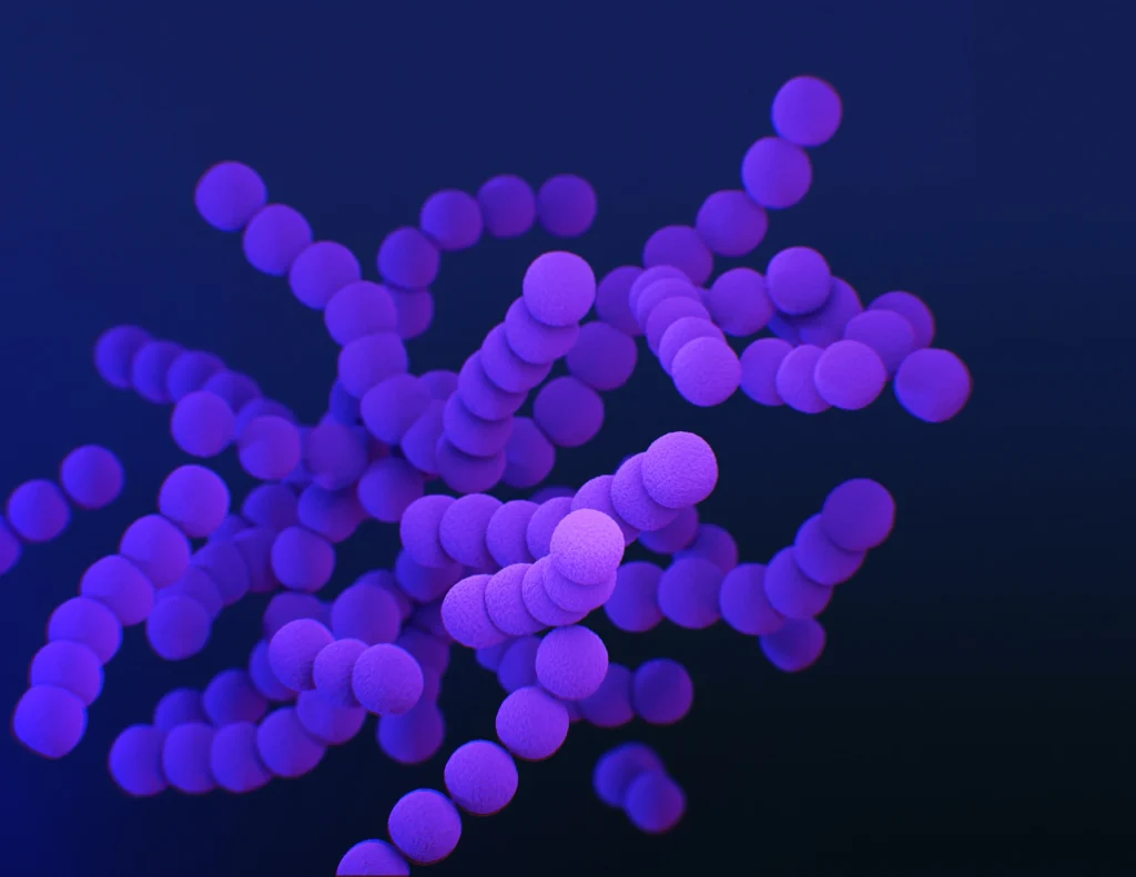 cdc sSVSWMa035g unsplash