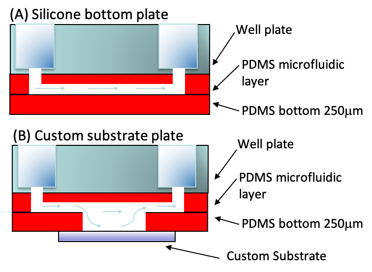 image asset 1