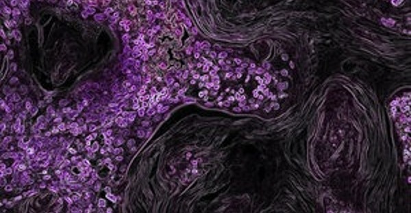 image asset3