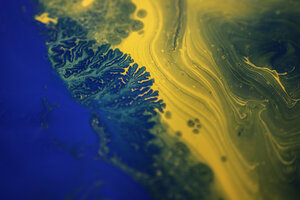 lung biofilms