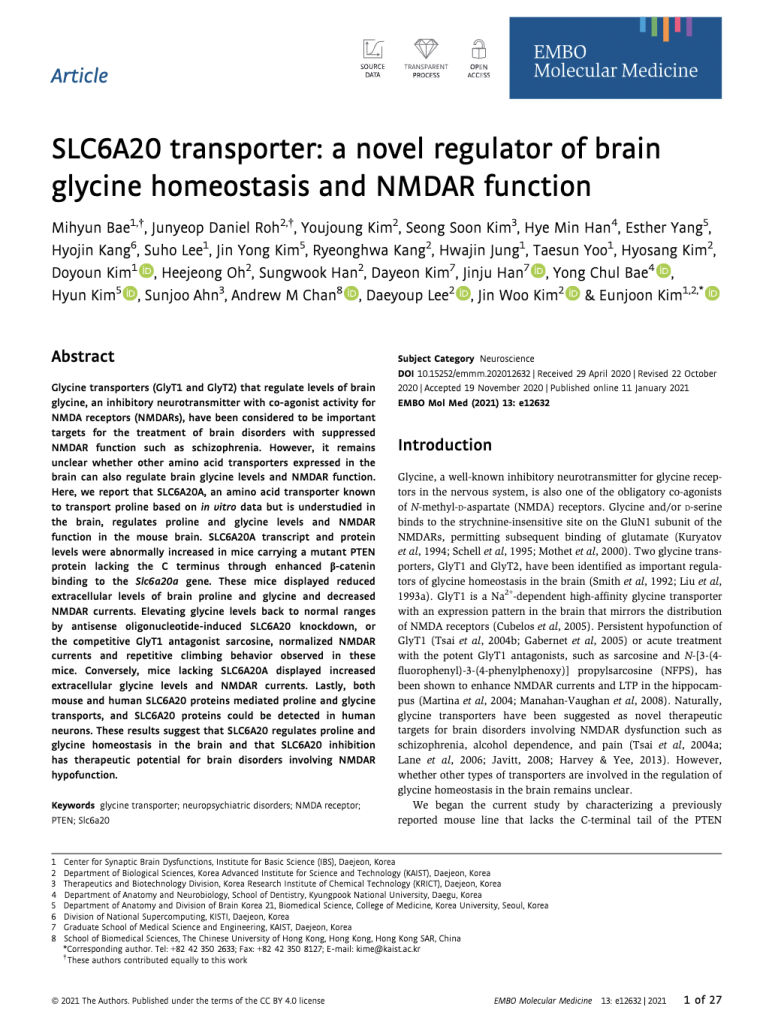 recent research with ionflux nmdar schizophrenia