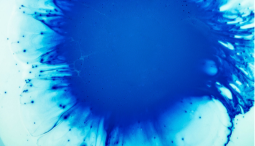 tumor microenvironment hr 1