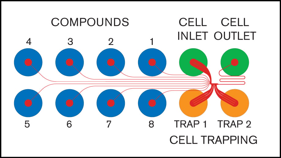 wellplatediagram