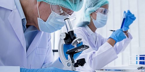 Scientists on microscope
