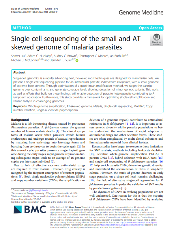 Single cell Sequencing
