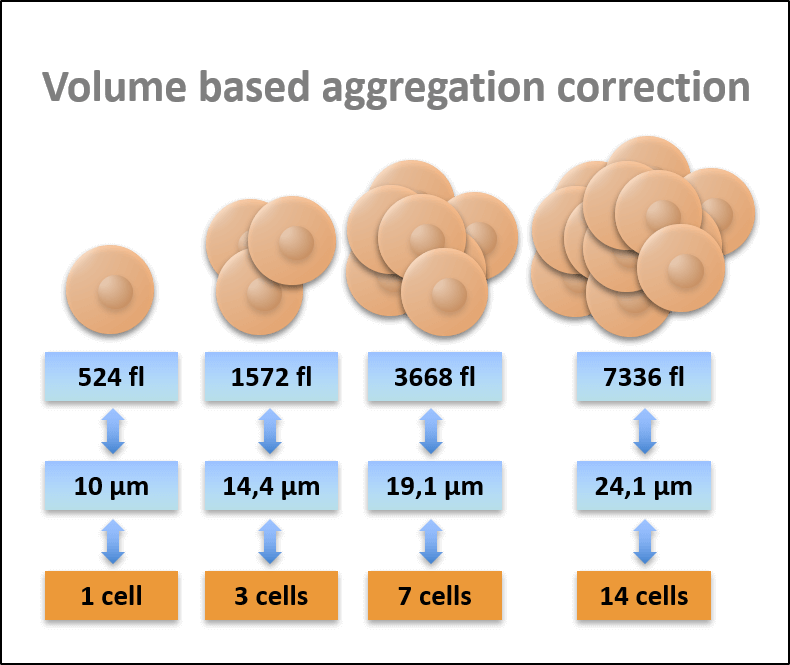 casy aggregation