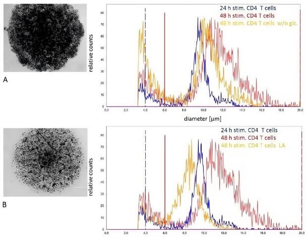 casy t cell2 transformed