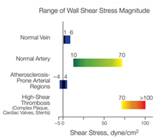 range of shear stress in the body1