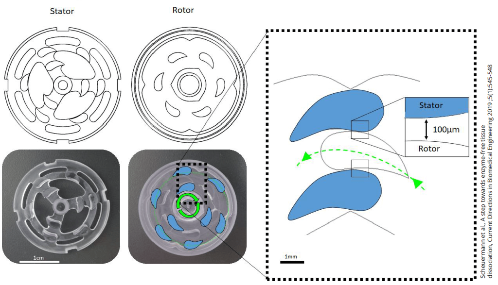 tigr tissue grinder rotor and stator teeth