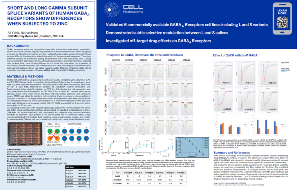 Ali BPS 2024 poster GABAA and Zinc