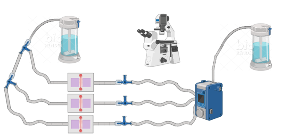 DIY shear flow system