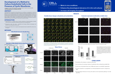 Development of a method to culture endothelial cells in the presence of cyclic waveforms thumbnail